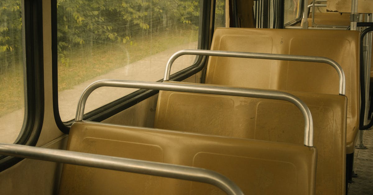 Transport and city